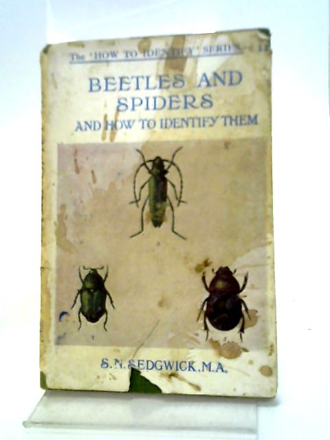 Common British Beetles And Spiders And How To Identify Them Series von S.N Sedgwick