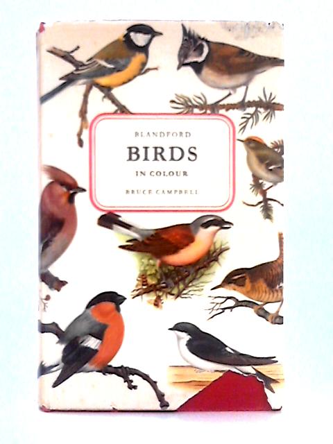 Birds in Colour von Bruce Campbell