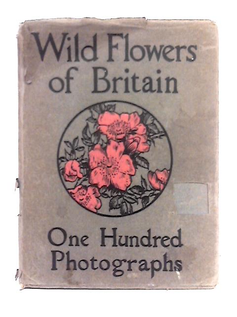 Wild Flowers of Britain By Macgregor Skene