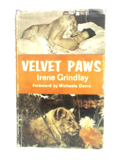 Velvet Paws; The Story Of Mara, The Young Lioness By I.Grindlay