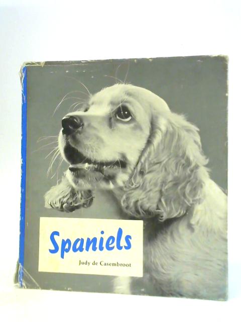 Spaniels By Judy de Casembroot