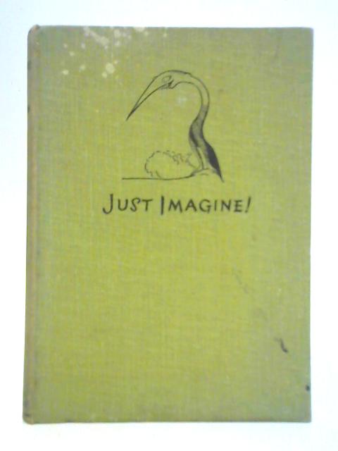 Just Imagine! von Edward Samson