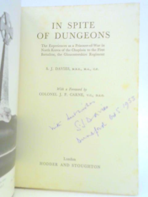 In Spite of Dungeons von S. J. Davies
