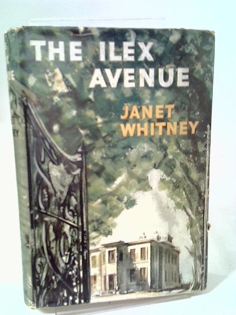 The Ilex Avenue By Janet Whitney