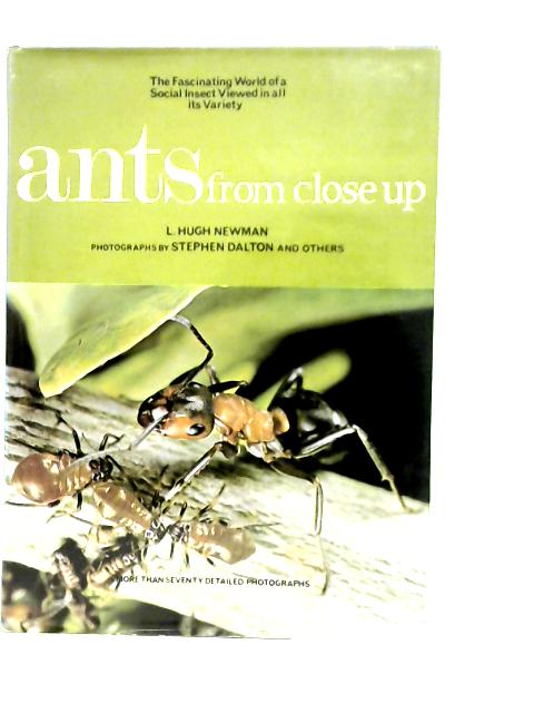 Ants from Close Up By L.Hugh Newman