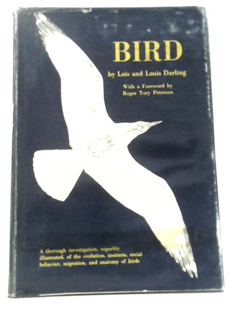 Bird By Lois and Louis Darling