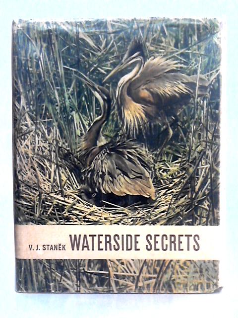 Waterside Secrets By V.J. Stanek