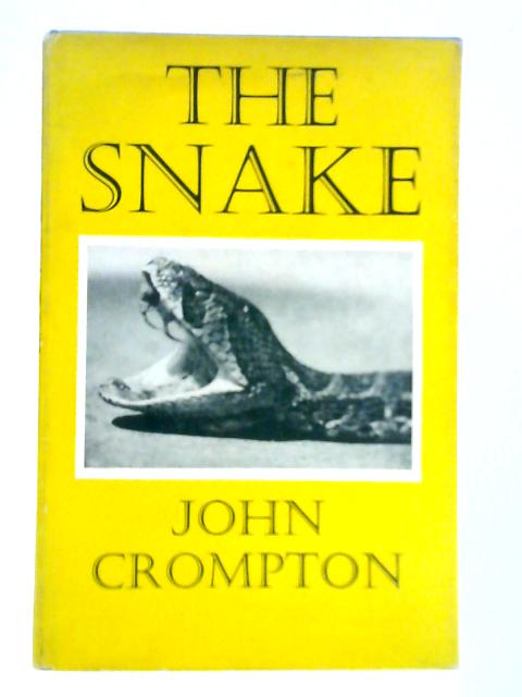 The Snake By John Crompton