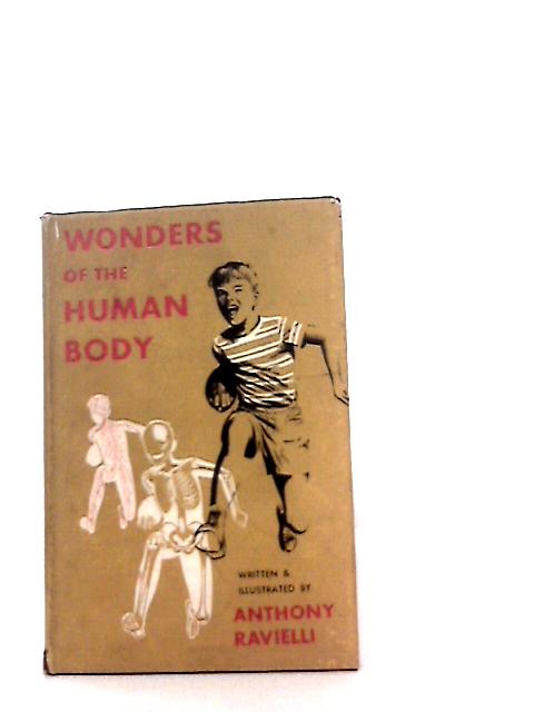 Wonders of the Human Body By Anthony Ravielli