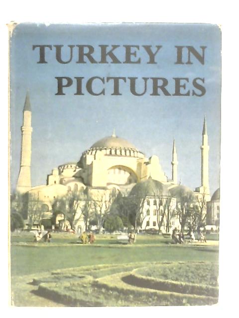 Turkey in Pictures von Albert Gabriel