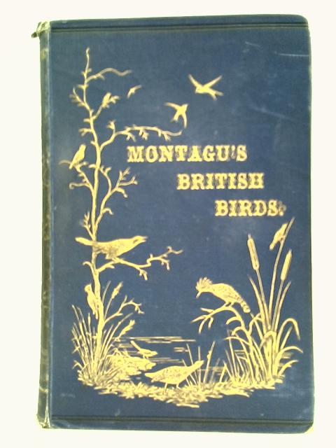 A Dictionary of British Birds von Edward Newman (Ed.)