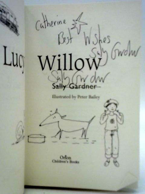 Lucy Willow By Sally Gardner