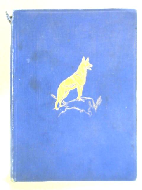 White Fang von Jack London