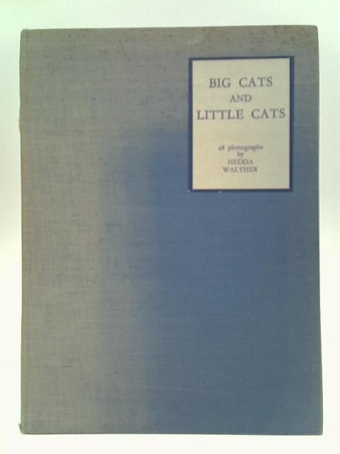 Big Cats and Little Cats By Hedda Walther