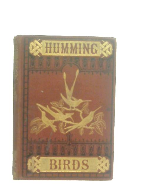 Humming Birds By H. G. Adams