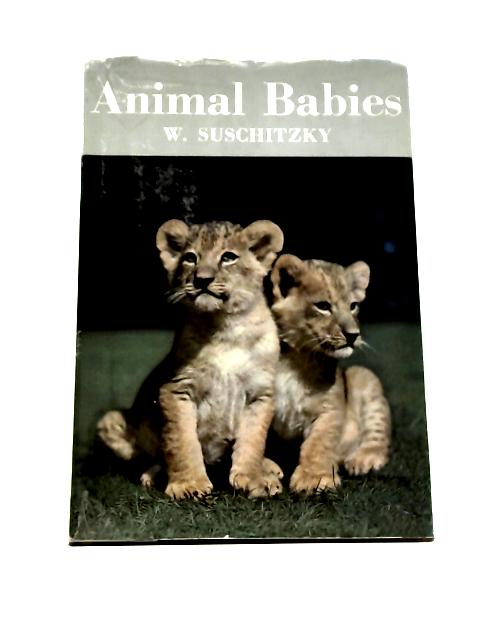 Animal Babies By W. Suschitzky
