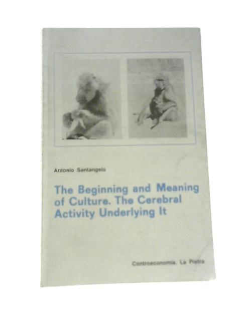 The Beginning And Meaning Of Culture: The Cerebral Activity Underlying It von Antonio Santangelo