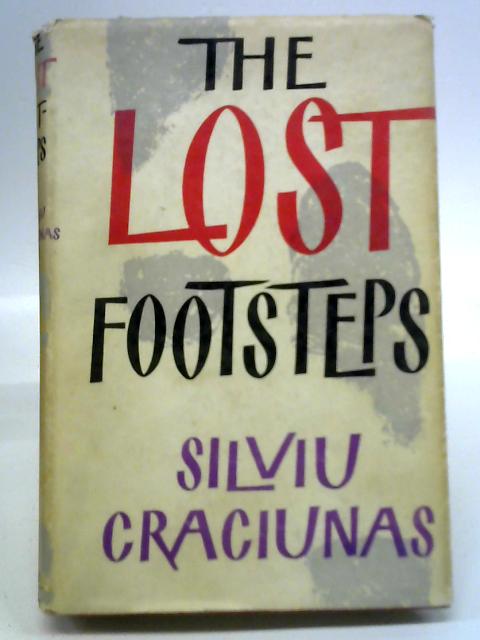 Lost Footsteps By Silviu Craciunas