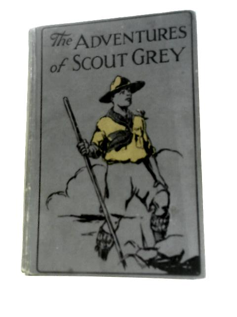 The Adventures of Scout Grey By R L Bellamy