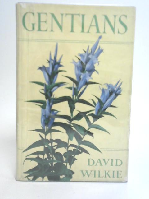 Gentians von David Wilkie