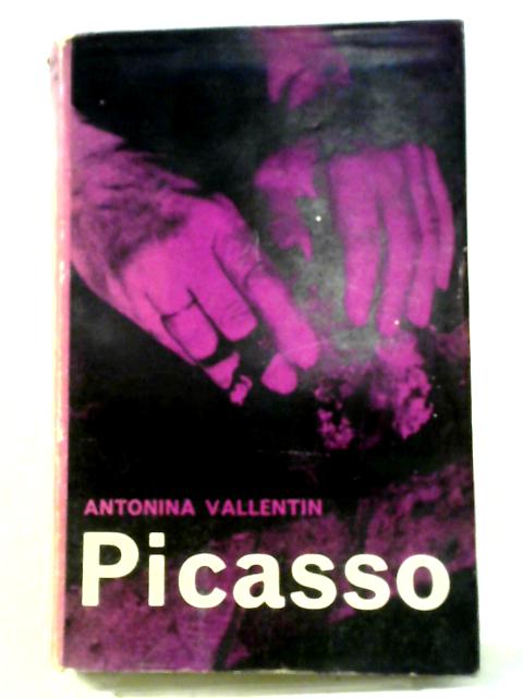 Picasso von Antonina Vallentin