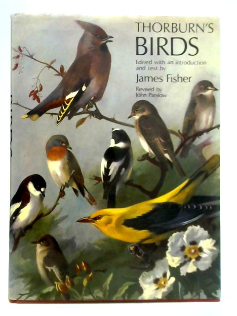 Thorburn's Birds By James Fisher