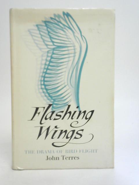 Flashing Wings By John Terres