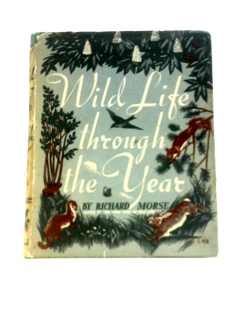 Wild Life Through The Year par Richard Morse
