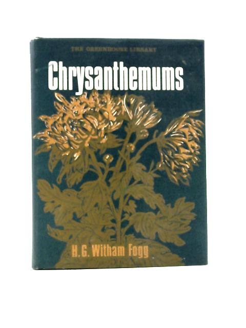 Greenhouse Chrysanthemums By H. G. Witham Fogg
