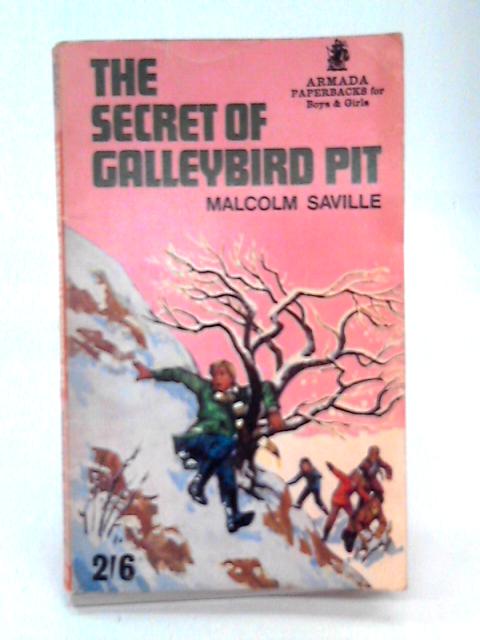 The Secret of Galleybird Pit By Malcolm Saville