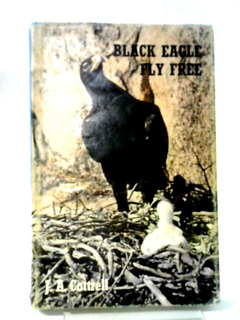 Black Eagle Fly Free By John Awdry Cottrell