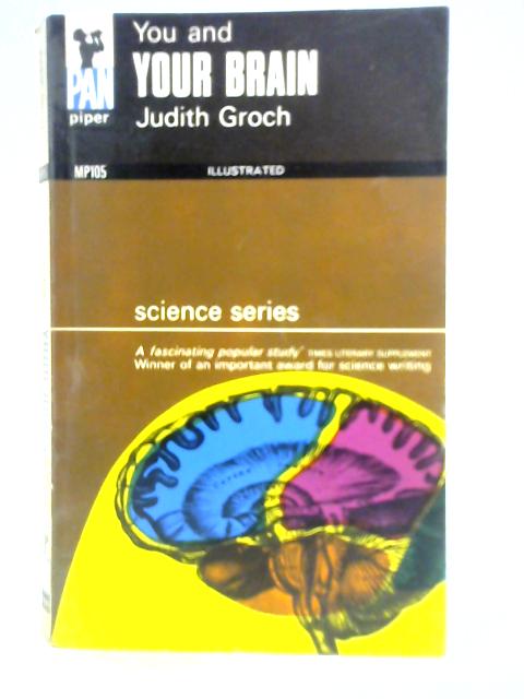 You and Your Brain By Judith Groch