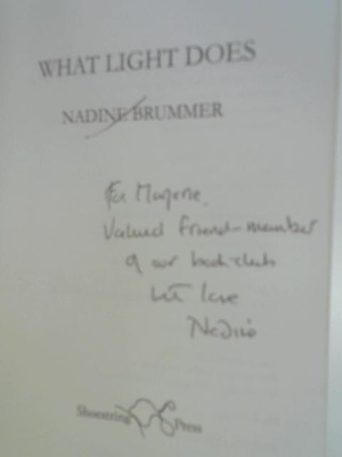 What Light Does von Nadine Brummer