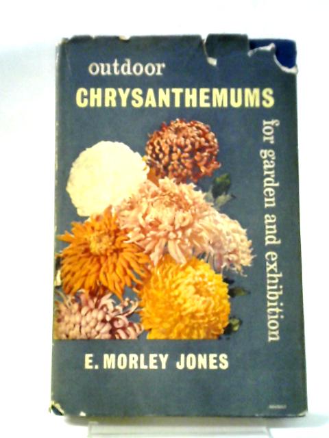 Outdoor Chrysanthemums For Garden And Exhibition By E Morley Jones