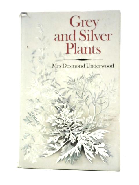 Grey and Silver Plants By Mrs. Desmond Underwood