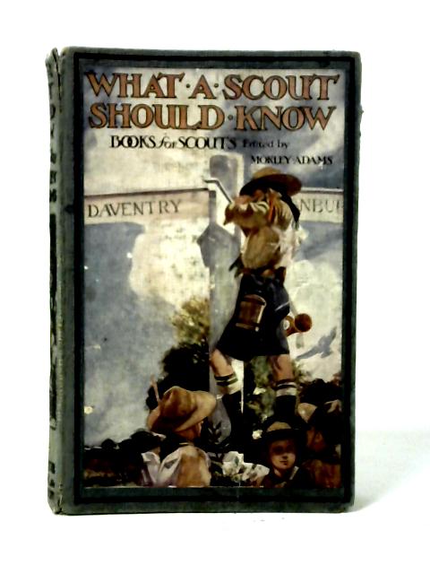 What A Scout Should Know By Morley Adams (Ed.)