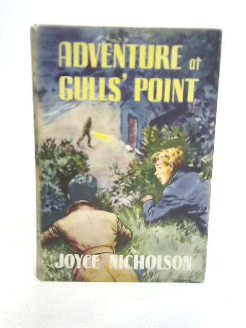 Adventure at Gulls' Point By Joyce Nicholson