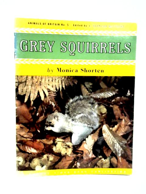 Grey Squirrels By Monica Shorten