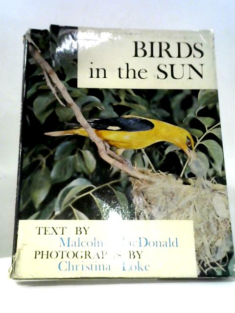Birds In The Sun By Malcolm Macdonald