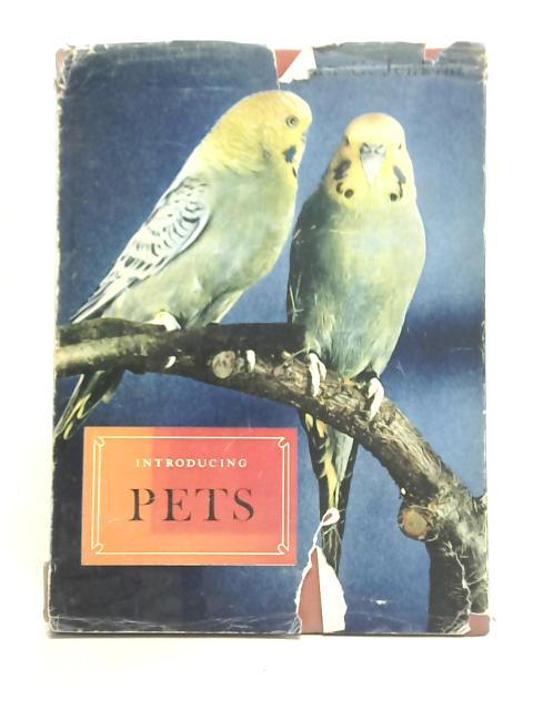 Introducing Pets By Alan C Jenkins