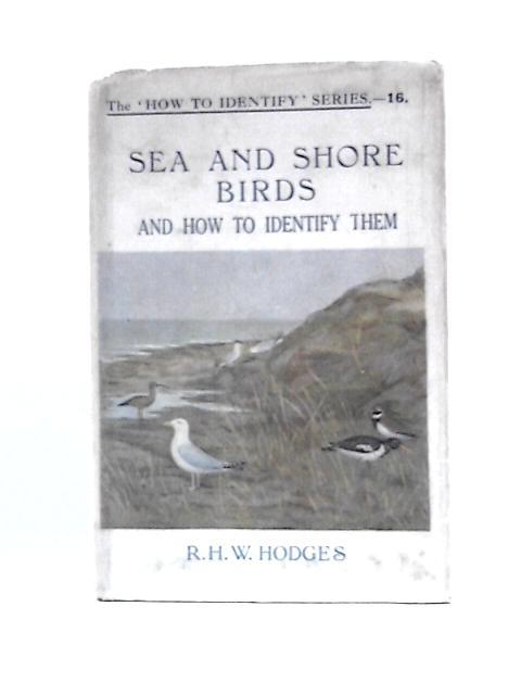 Sea and Shore Birds (and How to Identify Them) the 'How to Identify' Series von R.H.W.Hodges