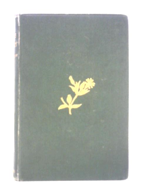 A Year's Botany von Frances Anna Kitchener