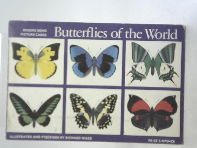 Butterflies of The World Picture Cards By Richard Ward