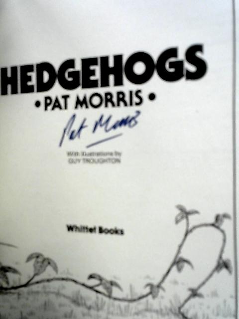 Hedgehogs von Pat Morris