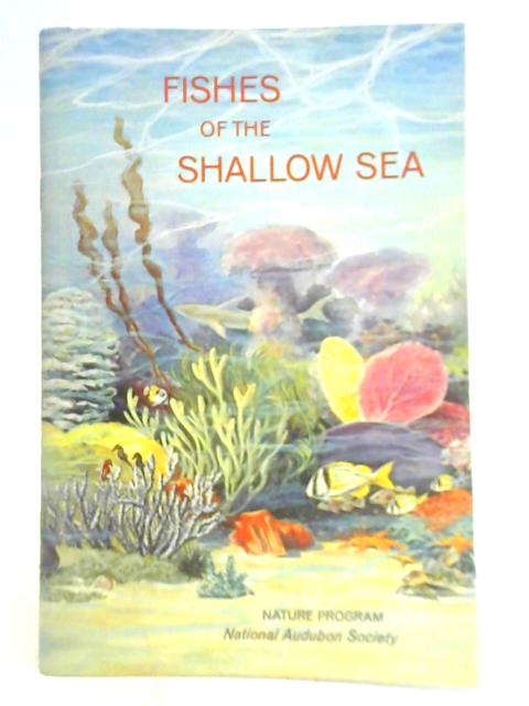 Fishes of the Shallow Sea von Russ Kinne