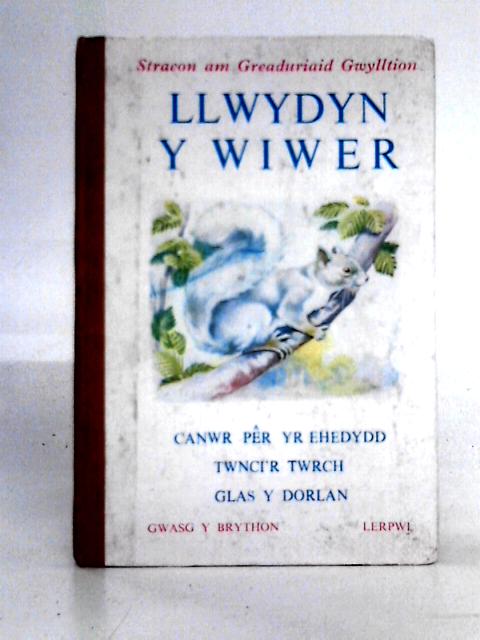 Llwydyn y Wiwer By Cecily M. Rutley