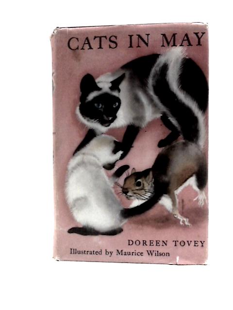 Cats in May By D.Tovey