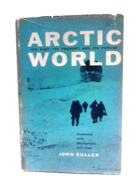 Arctic World von John Euller