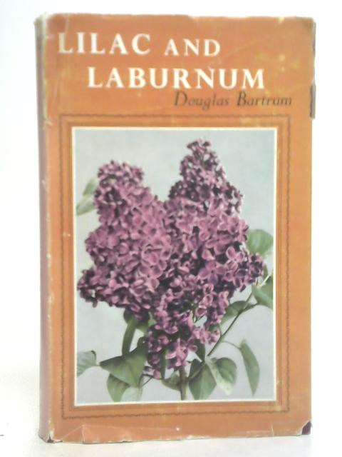 Lilac and Laburnum von Douglas Bartrum