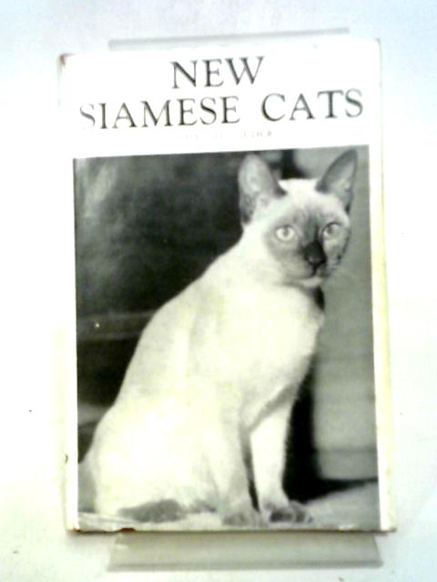 New Siamese Cats By Phyllis Lauder